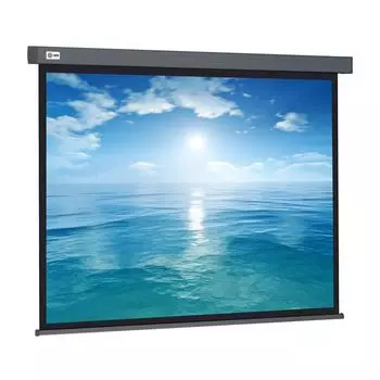 Проекционный экран Cactus