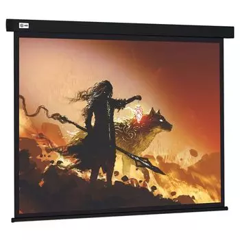 Проекционный экран Cactus