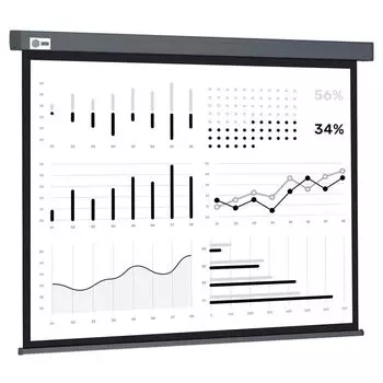 Проекционный экран Cactus
