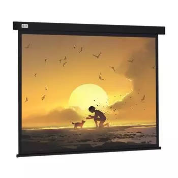 Проекционный экран Cactus