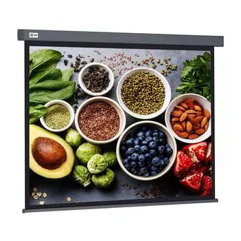 Проекционный экран Cactus