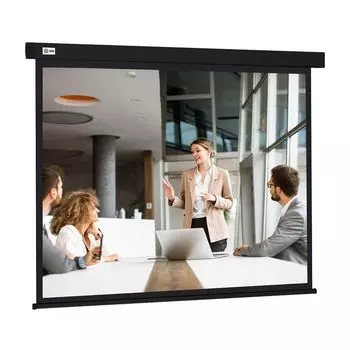 Проекционный экран Cactus