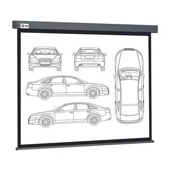 Проекционный экран Cactus