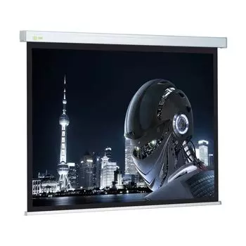 Проекционный экран Cactus