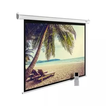 Проекционный экран Cactus