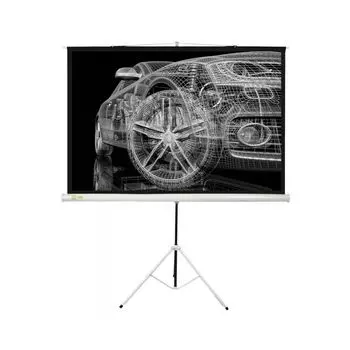 Проекционный экран Cactus