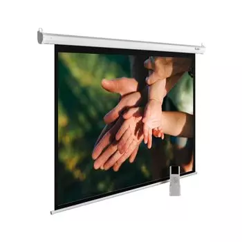 Проекционный экран Cactus