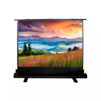 Проекционный экран Cactus