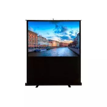 Проекционный экран Cactus