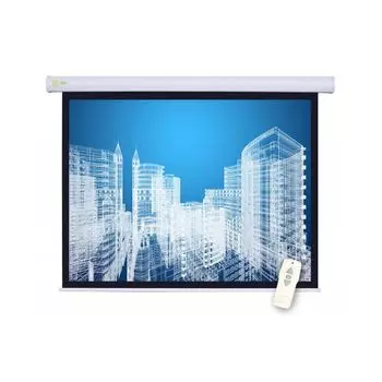 Проекционный экран Cactus