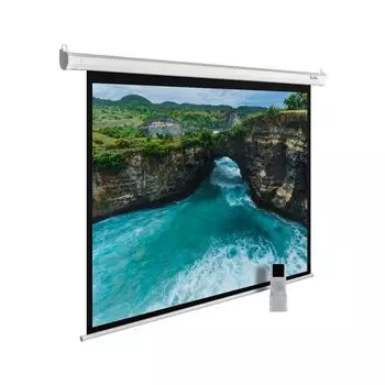 Проекционный экран Cactus