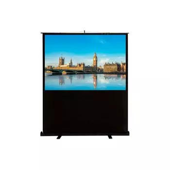 Проекционный экран Cactus