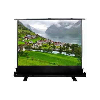 Проекционный экран Cactus