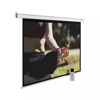 Проекционный экран Cactus