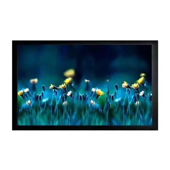 Проекционный экран Cactus