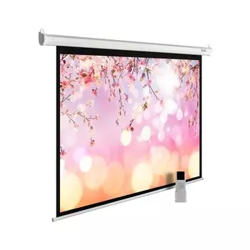 Проекционный экран Cactus