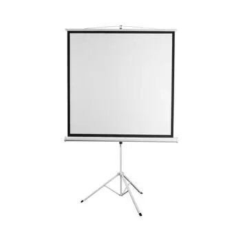 Проекционный экран Digis