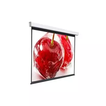 Проекционный экран Digis