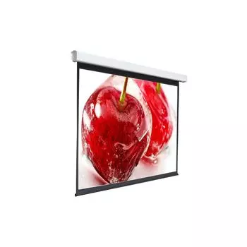 Проекционный экран Digis