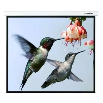 Проекционный экран Lumien