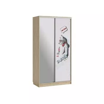 Шкаф-купе Мебельсон