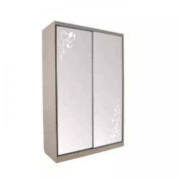 Шкаф-купе Мебельсон