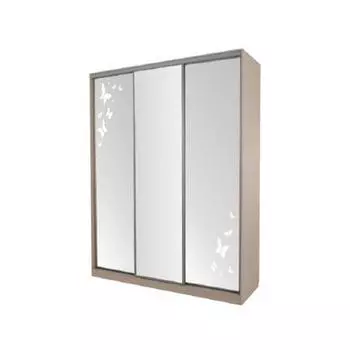 Шкаф-купе Мебельсон