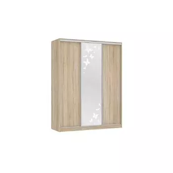 Шкаф-купе Мебельсон