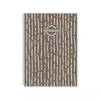 Тетрадь Полином