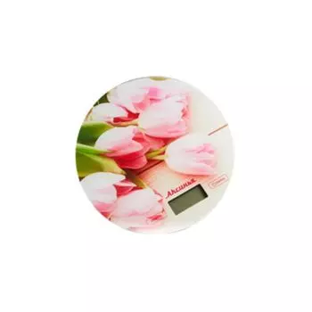 Весы кухонные АКСИНЬЯ