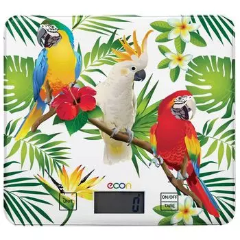 Весы кухонные Econ