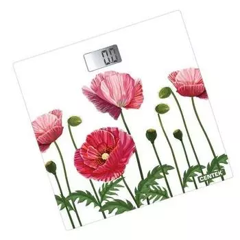 Весы напольные CENTEK