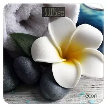 Весы напольные Econ