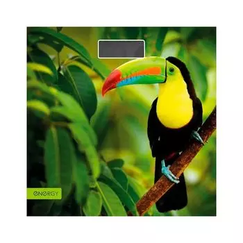 Весы напольные Energy