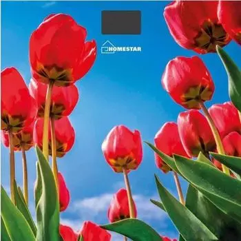 Весы напольные Homestar