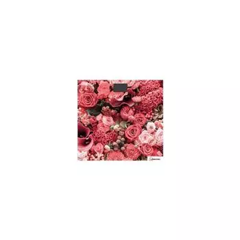 Весы напольные Homestar