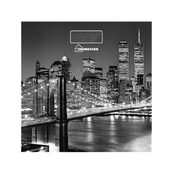 Весы напольные Homestar