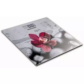 Весы напольные Redmond