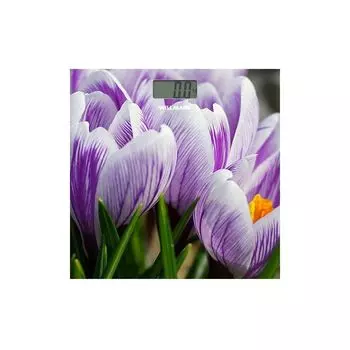 Весы напольные Willmark