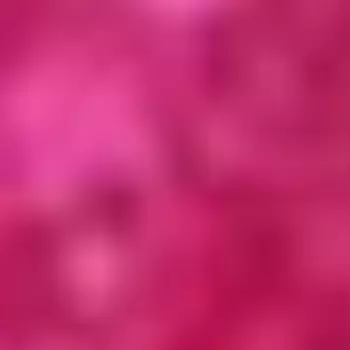 Блеск для губ с блестками Glitter In Gloss (2234R24-05, N.5, N.5, 4,5 мл)