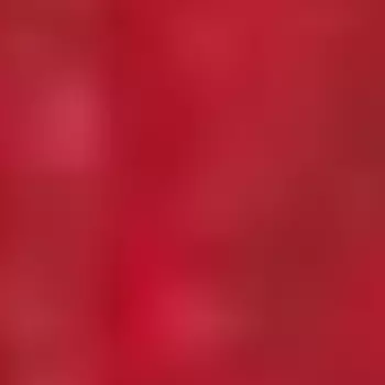 Блеск для губ с блестками Glitter In Gloss (2234R24-06, N.6, N.6, 4,5 мл)