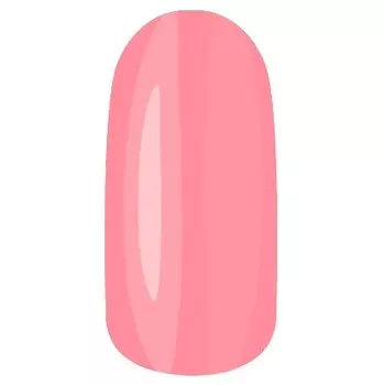 Гель-лак для ногтей NL (001222, 2005, клевый, 6 мл)