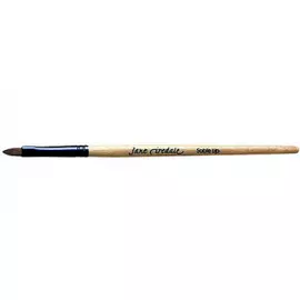 Кисточка для помады одноразовая - Disposable Delux Lip Brushes