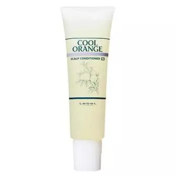 Кондиционер очиститель Cool Orange M (240 г)