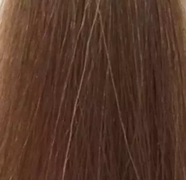 Краска-блеск без аммиака для тонирования и ухода Shades Eq Gloss (P0487502, 9T, 9T, 60 мл)