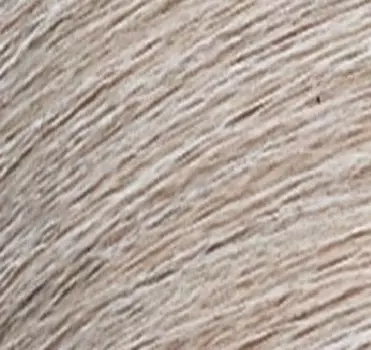 Краска-блеск без аммиака для тонирования и ухода Shades Eq Gloss (E3127201, 09V, 09V, 60 мл)