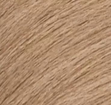 Краска-блеск без аммиака для тонирования и ухода Shades Eq Gloss (E3126600, 09N, 09N, 60 мл)