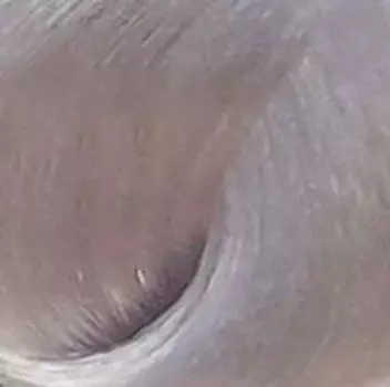 Краска для волос Revlonissimo Colorsmetique Super Blondes (7244755222, 1222-MN, 60 мл)