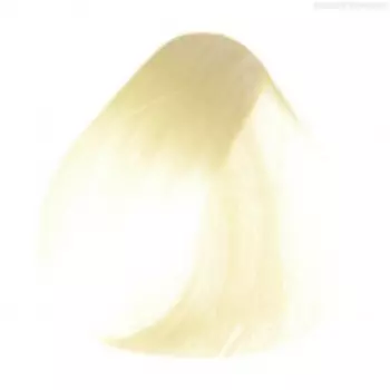 Крем-краска для волос Prince (PC/A, 0/00A, аммиачный, 100 мл)