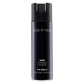 Лак сильной фиксации Wind Strong Gas Hairspray (PNCOTSY0115, 300 мл)